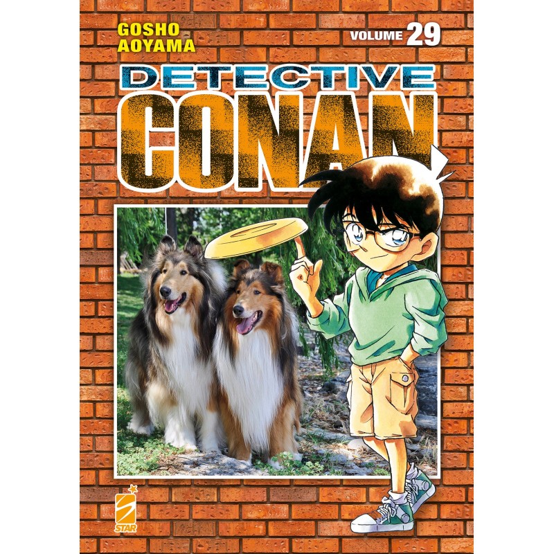 Detective Conan New Edition 29