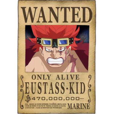 ONE PIECE - Wanted Eustass Kid
