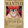 ONE PIECE - Gesucht: Eustass Kid