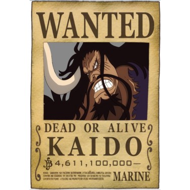 ONE PIECE - Gesucht: Kaido