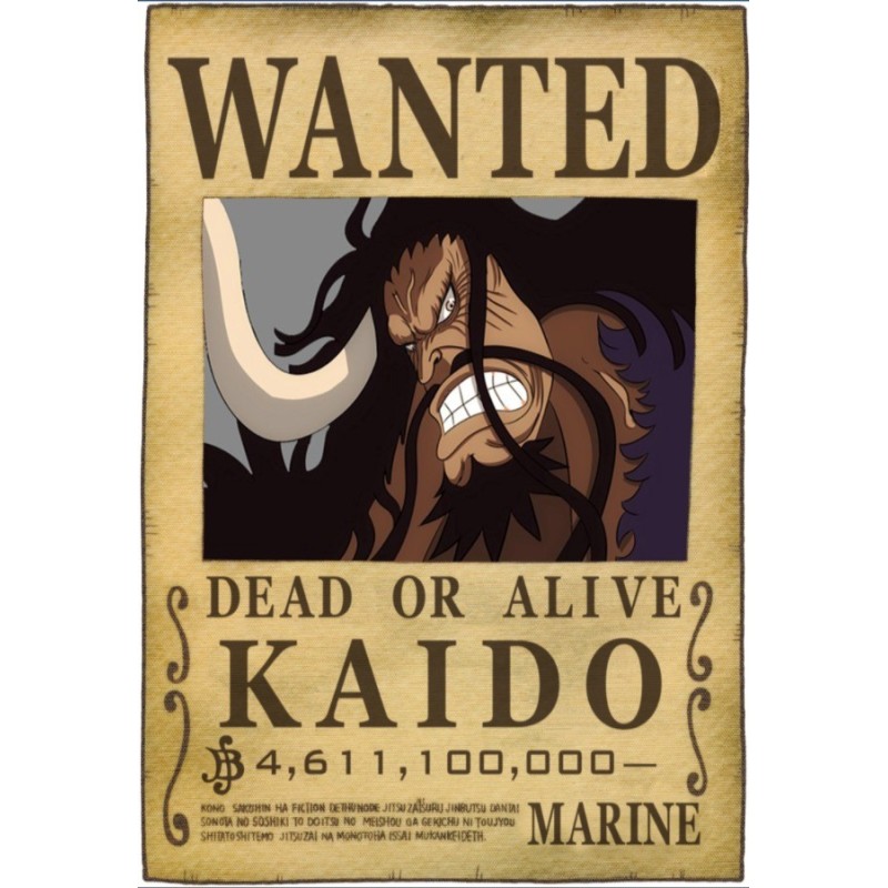ONE PIECE - Gesucht: Kaido