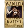 ONE PIECE - Wanted Kaido
