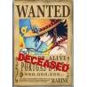 ONE PIECE - Wanted Portgas D. Ace