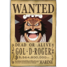 ONE PIECE - Wanted Gol D. Roger