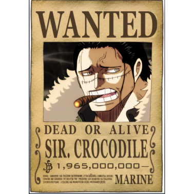 ONE PIECE - Gesuchter Crocodile