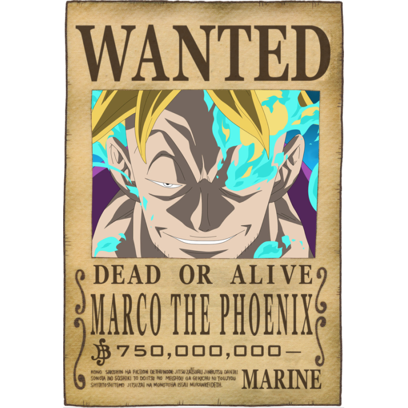 ONE PIECE - Gesucht Marco