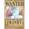 ONE PIECE - Gesucht: Franky