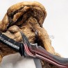 Pugnale Daedrico - TES V: Skyrim | Il Nuovo Mondo Shop