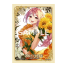 Bustine Protettive Rebecca - One Piece | Il Nuovo Mondo Shop