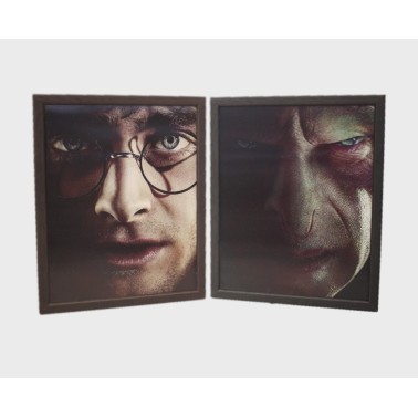 HARRY POTTER - Harry VS Voldemort - Quadro Lenticolare 3D Doppia Immagine