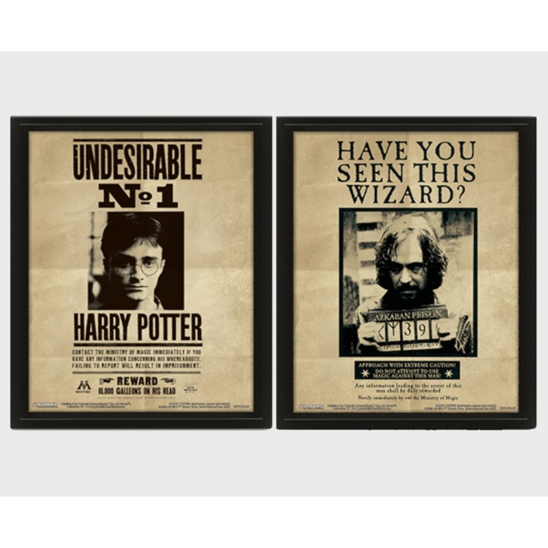 HARRY POTTER - Potter / Sirius - Quadro Lenticolare 3D Doppia Immagine