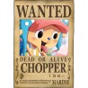 ONE PIECE - Wanted Nico Robin